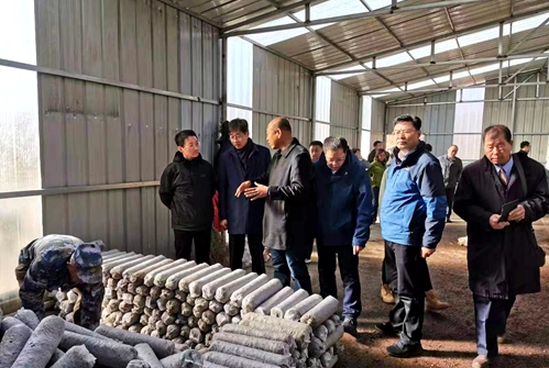 沈陽分院機(jī)關(guān)黨委組織黨員赴定點(diǎn)扶貧單位實(shí)地調(diào)研