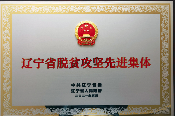 沈陽分院駐村工作隊(duì)榮獲“遼寧省脫貧攻堅(jiān)先進(jìn)集體”稱號(hào)