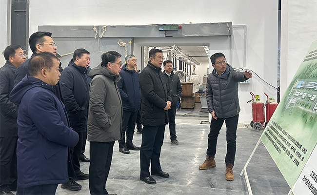 遼寧省委常委、常務(wù)副省長王健一行來大連化物所調(diào)研