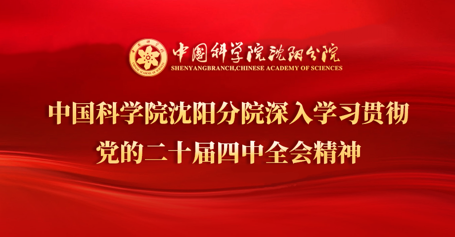 專題：深入學(xué)習(xí)貫徹黨的二十屆四中全會(huì)精神