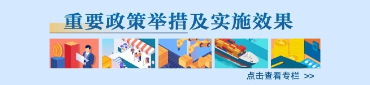 重要政策舉措及實施效果