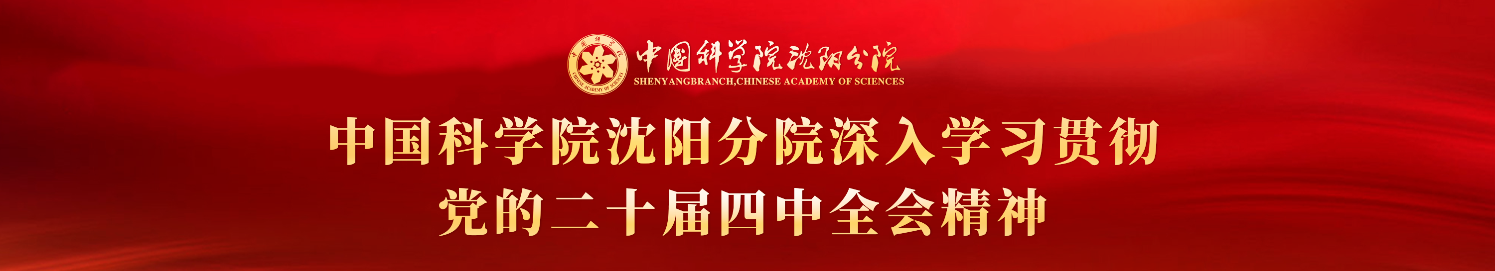 深入學習貫徹黨的二十屆四中全會精神